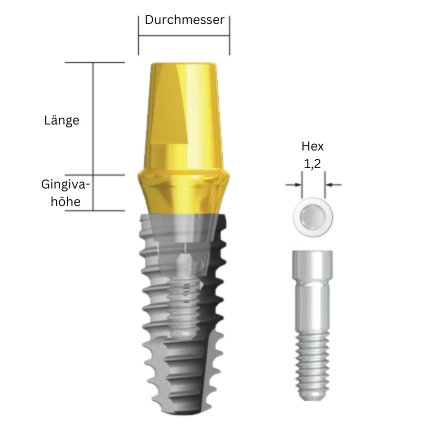 IS Shapable Abutment